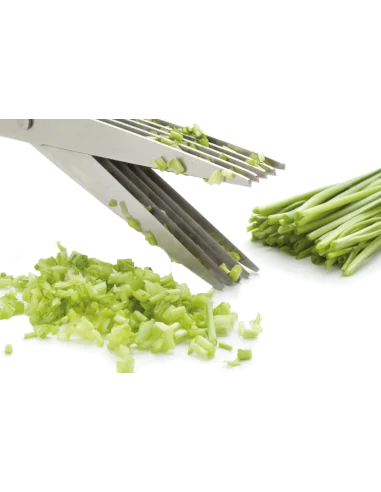 Multi-blade scissors for fine herbs - 1