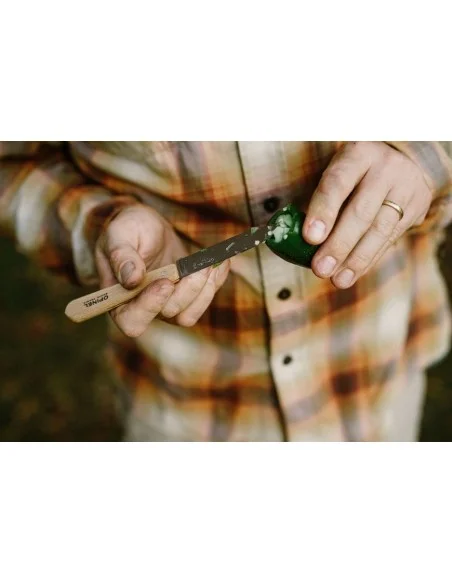 Box of 2 paring knives - Opinel - 3