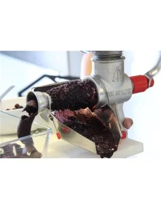 Gitter 1,25 mm für elektrische Entkernungsmaschine 2