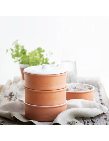 Keimzelle aus Terrakotta