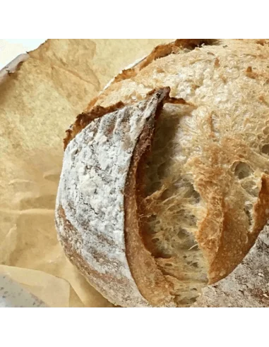 Set de démarrage de levain maison -...