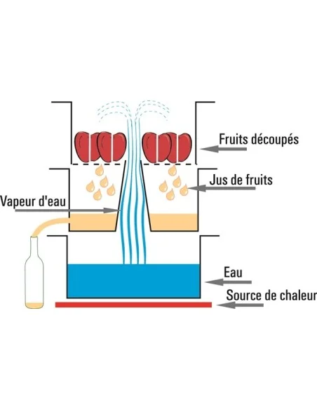 Induktions-Entsafter 28 cm - 2