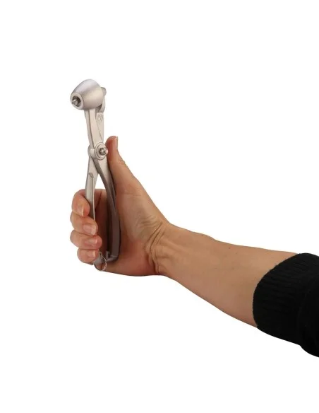 Hebel Entkernmaschine für Kirschen und Oliven - 3