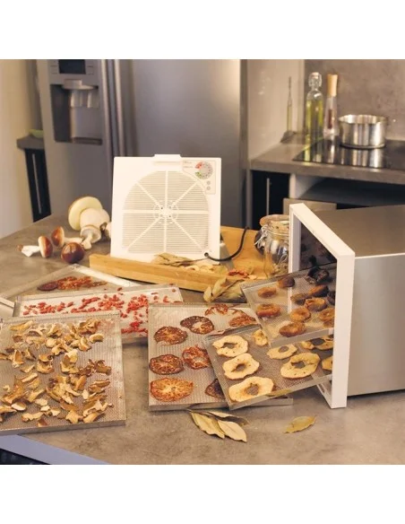 Tunnel-Dörrgerät aus Edelstahl 6 Schalen 24 x 36 cm - 3