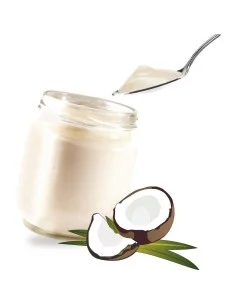Flavorings for coconut flavored yoghurt maker - 1 2