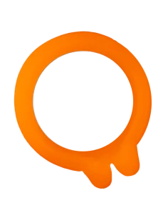 Universal-Unterlegscheiben 2 Ohren Ø 70 mm - Beutel mit 10 - Le Parfait - 1