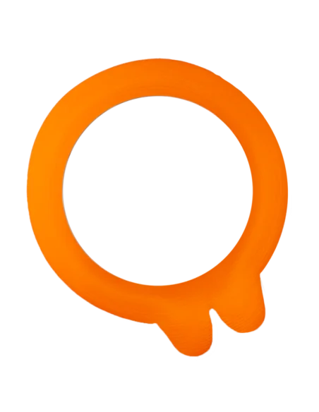 Universal washers 2 ears Ø 70 mm - Bag of 10 - Le Parfait - 1 Universal washers 2 ears Ø 70 mm - Bag of 10 - Le Parfait - 1