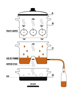 Extracteur de jus à vapeur 26 cm - Le Pratique - 1 2