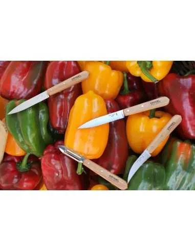 Set de couteaux "Les essentiels" - Opinel - 3